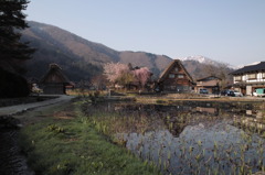 合掌造り
