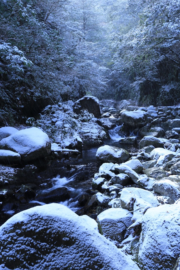 渓流の雪化粧