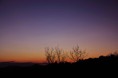 Color