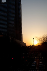 都庁と夕日
