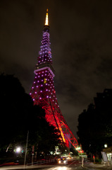 東京タワー　ピンクリボン