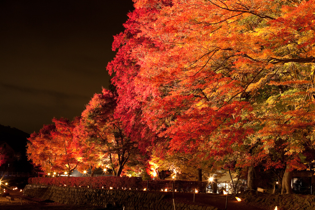 河口湖紅葉まつり