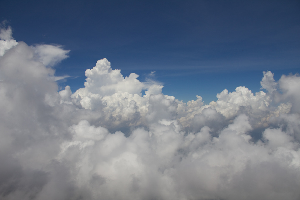 the 雲海