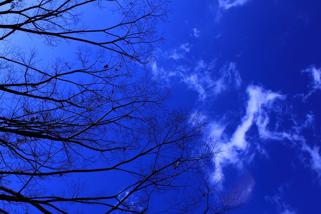 冬空