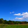 Blue sky of meadow