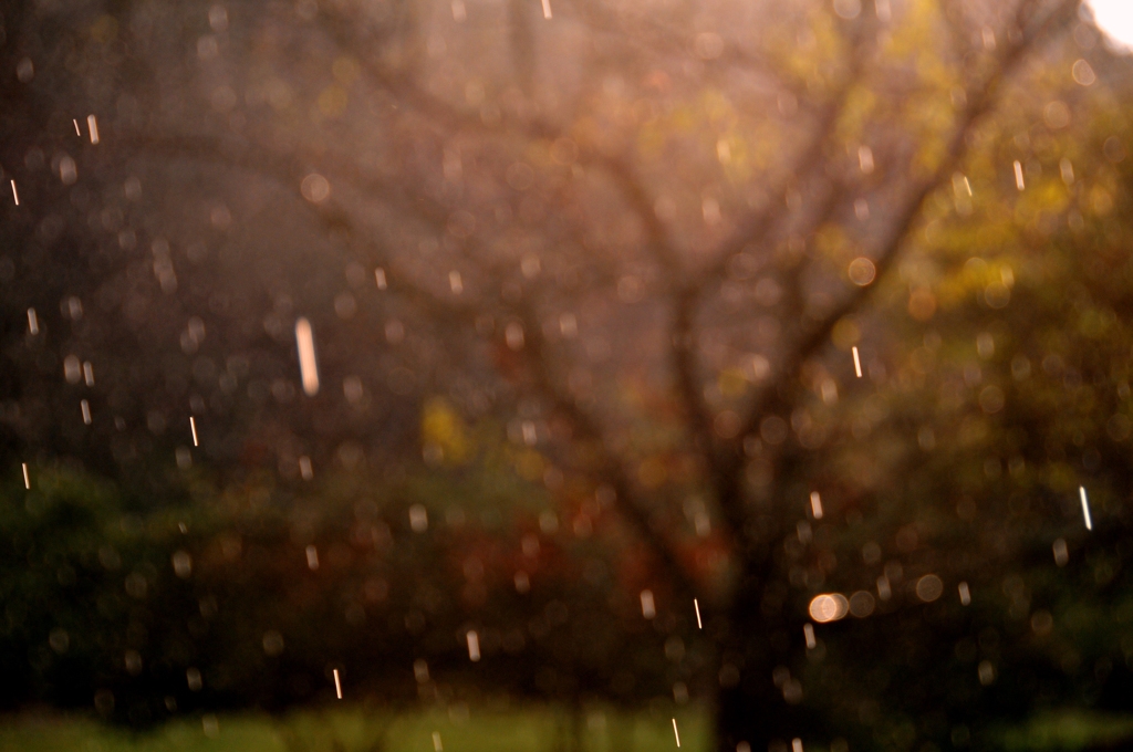 雨～黄昏～