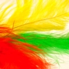 三色に染まる