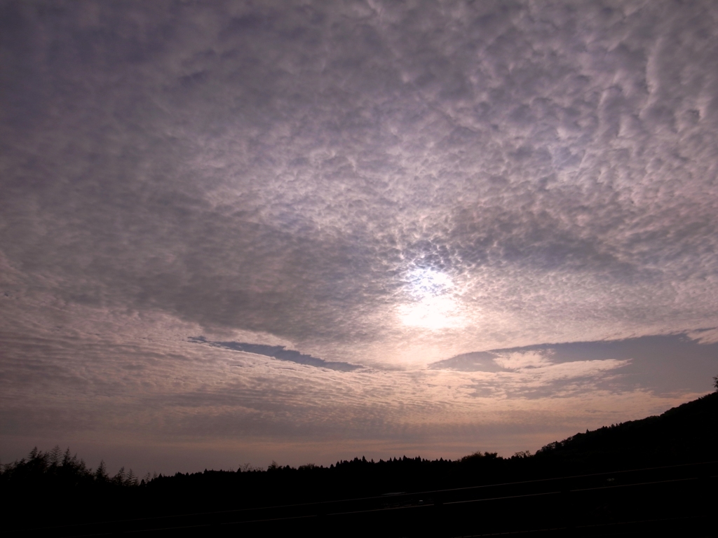 巻積雲