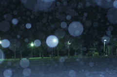 雪降る静かな夜に