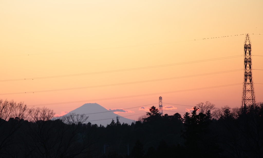 富士山