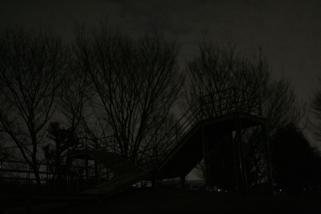 夜中の公園