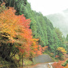 Ishi-kun_0958