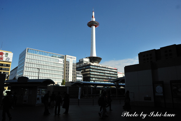 Ishi-kun_7420