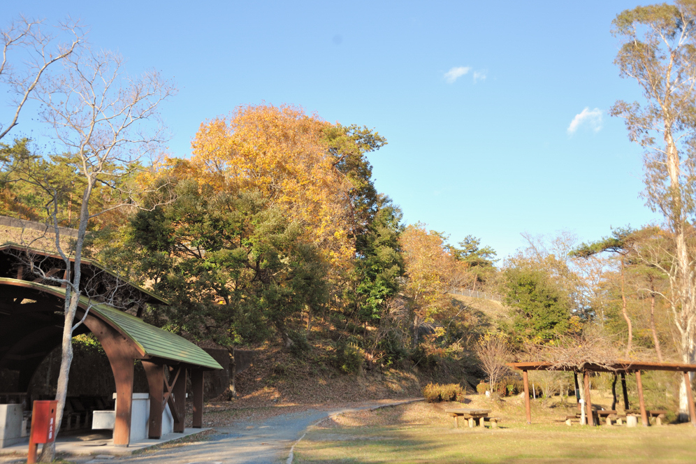 Ishi-kun_1487