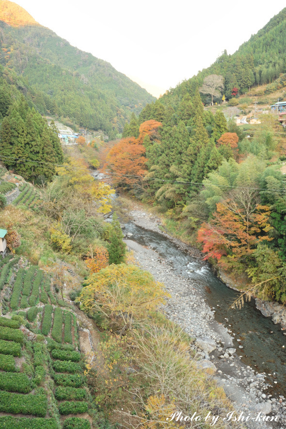Ishi-kun_7364