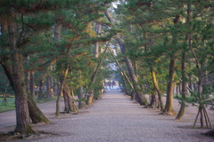 IMGP0462