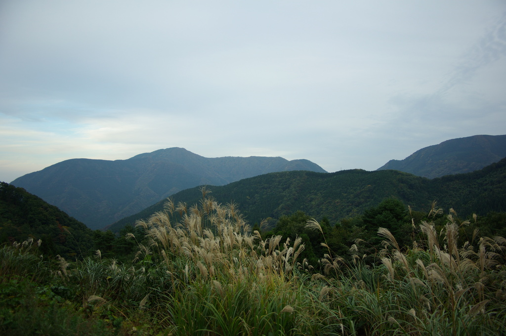 IMGP2266