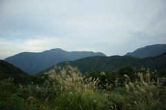 IMGP2266