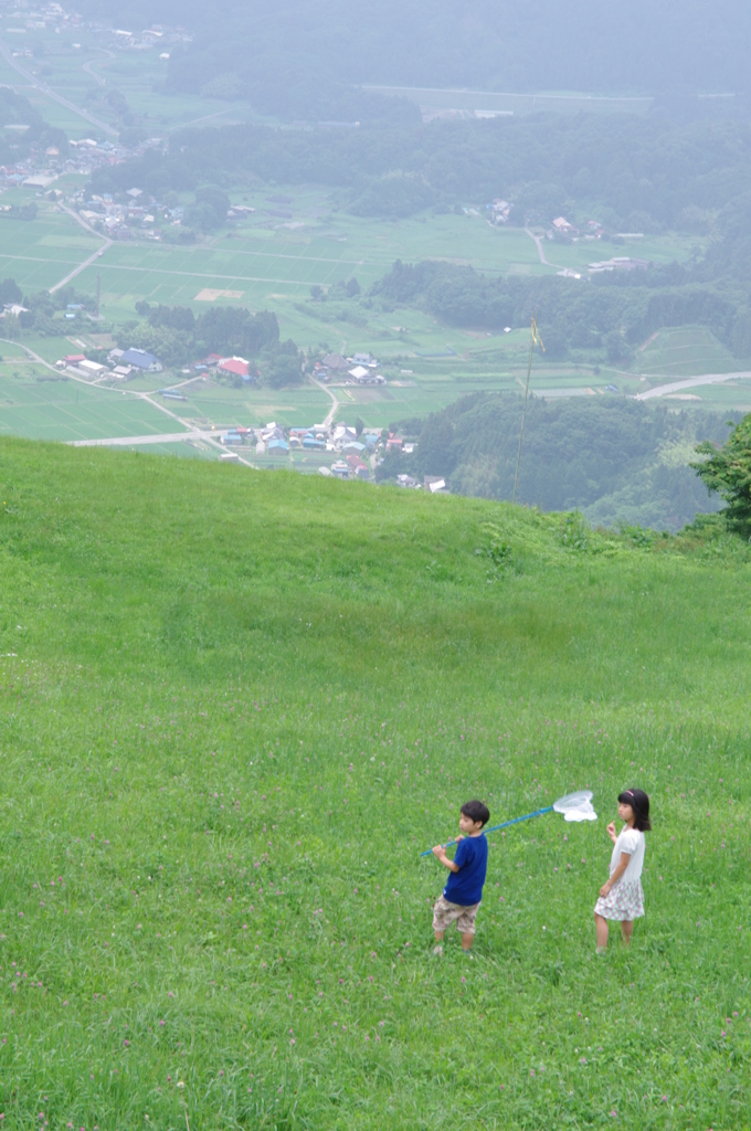 夏の思い出