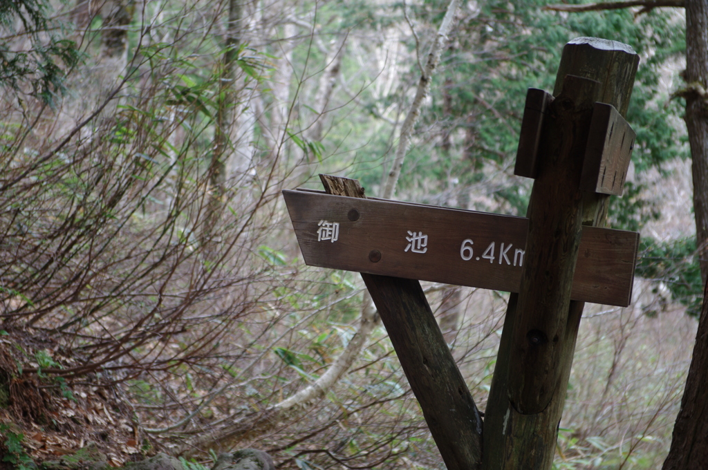 道標365日