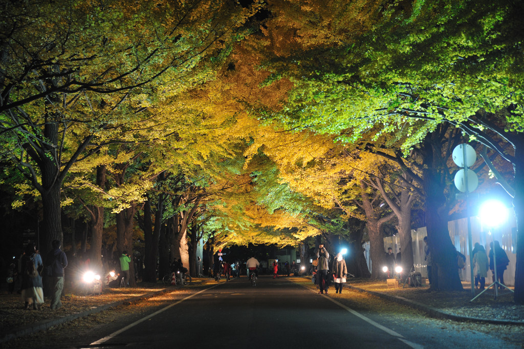 夜の彩り
