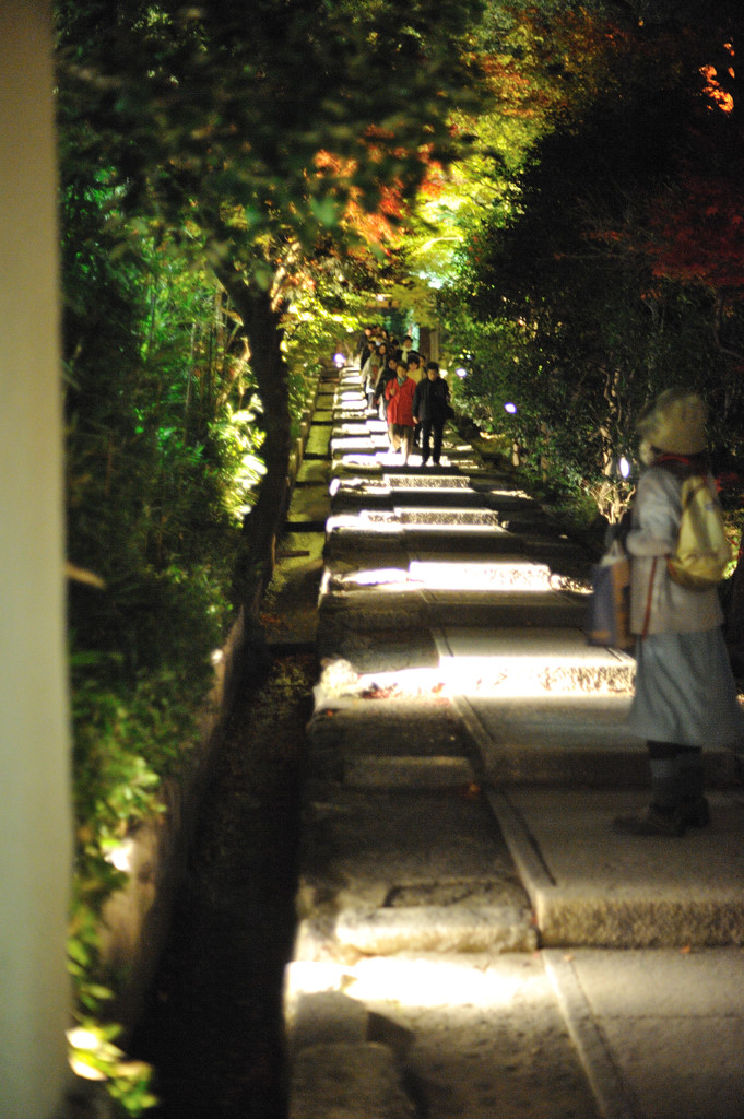 高台寺への夜道