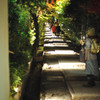 高台寺への夜道