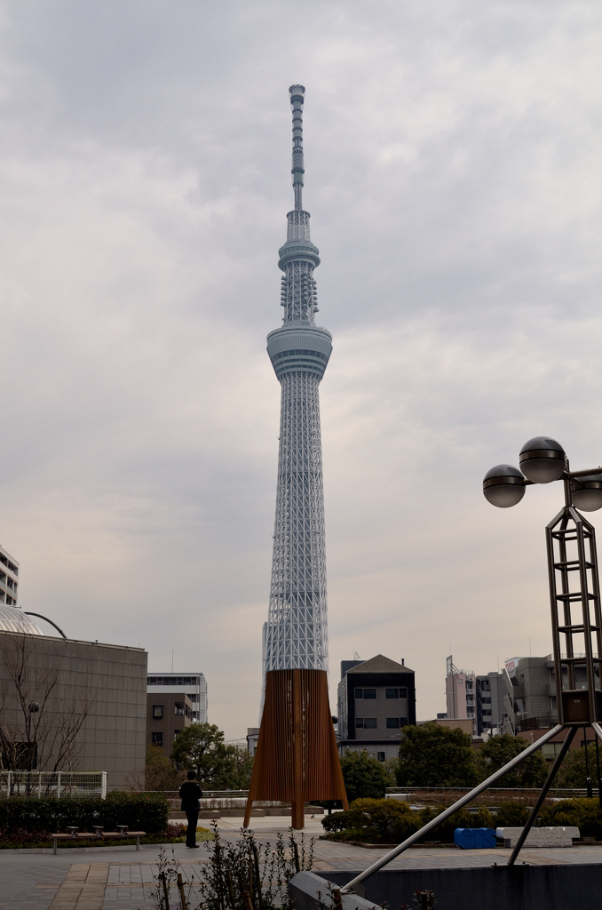 お着替えツリー