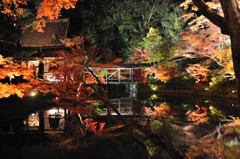 高台寺夜景