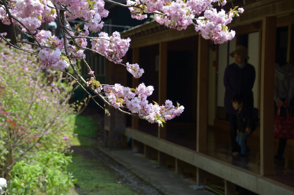 善光寺