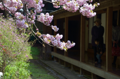 善光寺