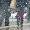 雪化粧