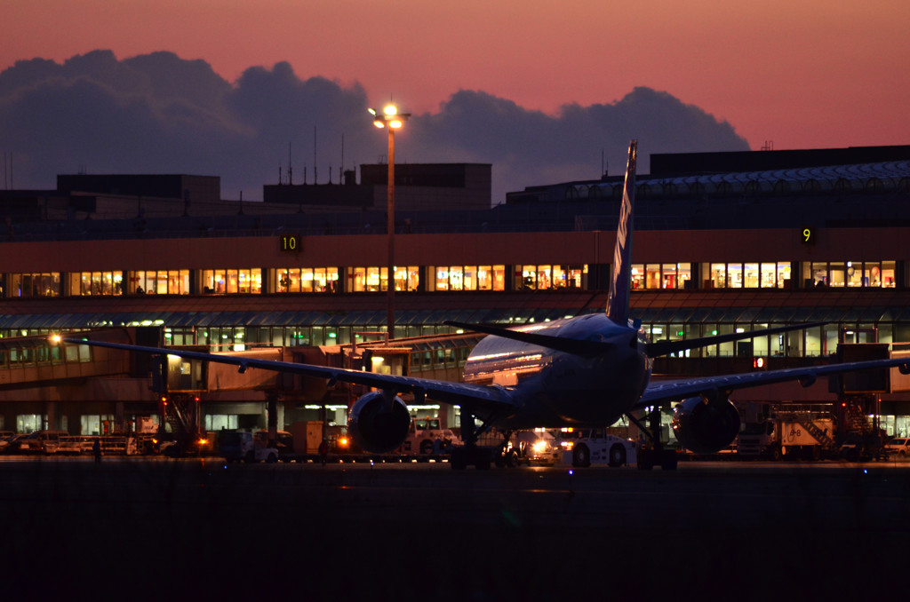 新千歳空港　キラリ