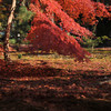 南禅寺三門前の紅葉