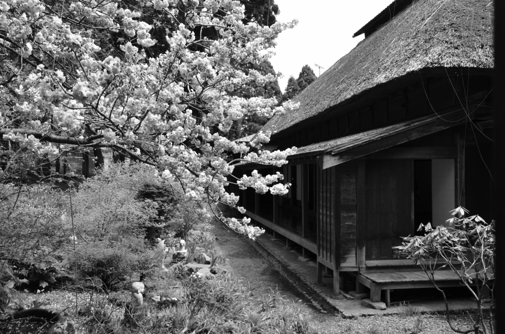 善光寺