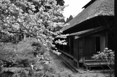 善光寺