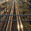 GOLD LINE