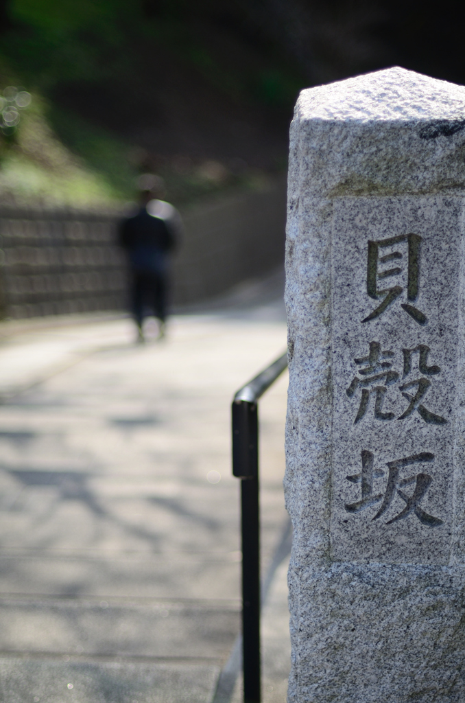 降り階段　　～貝殻坂～
