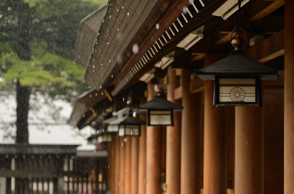 雨と雨垂れ