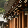 雨と雨垂れ