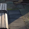 札幌-大通り公園-長椅子