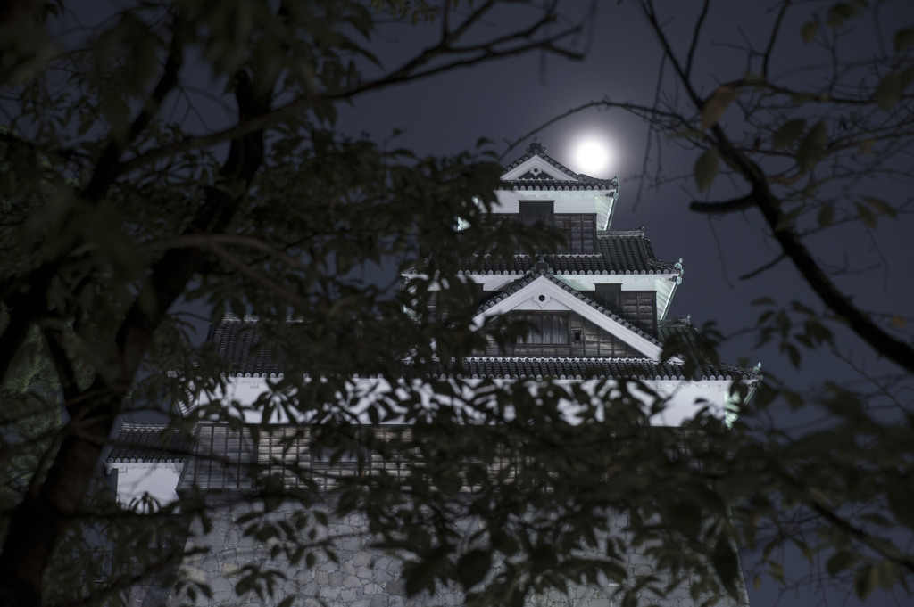 熊本城
