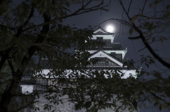熊本城