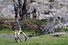 五稜郭公園（自転車）