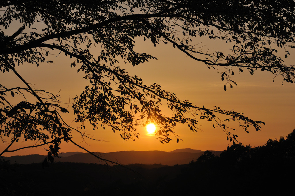 秋の夕日
