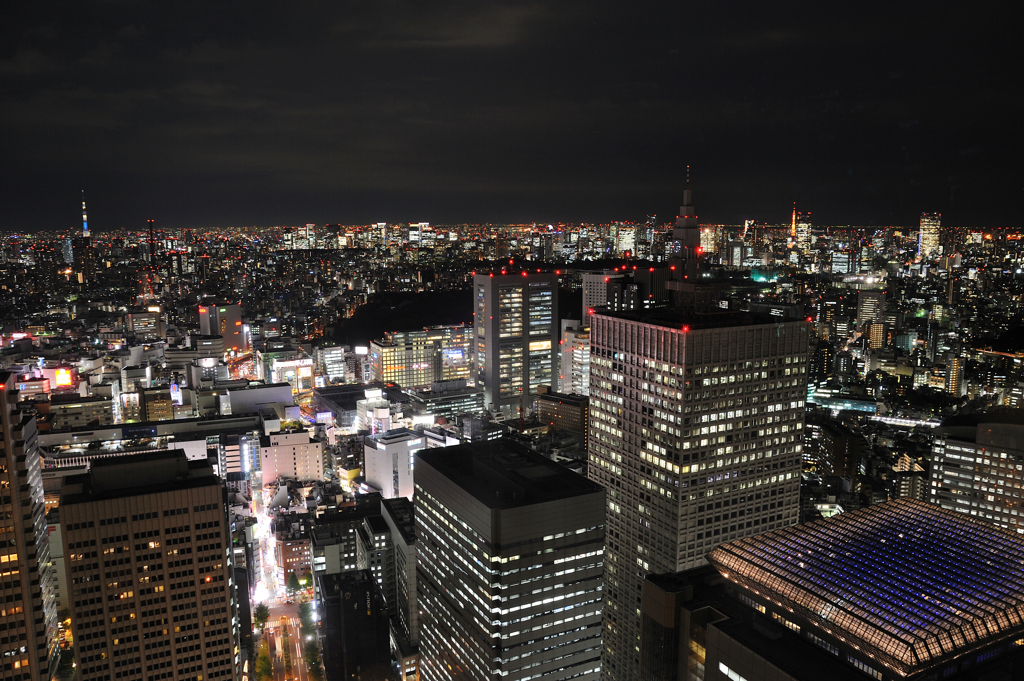 スカイツリーから東京タワーまで一望