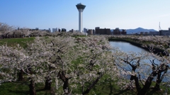 五稜郭公園（鳥瞰）