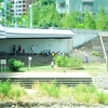 夏休み何してた？
