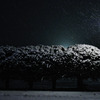 雪化粧