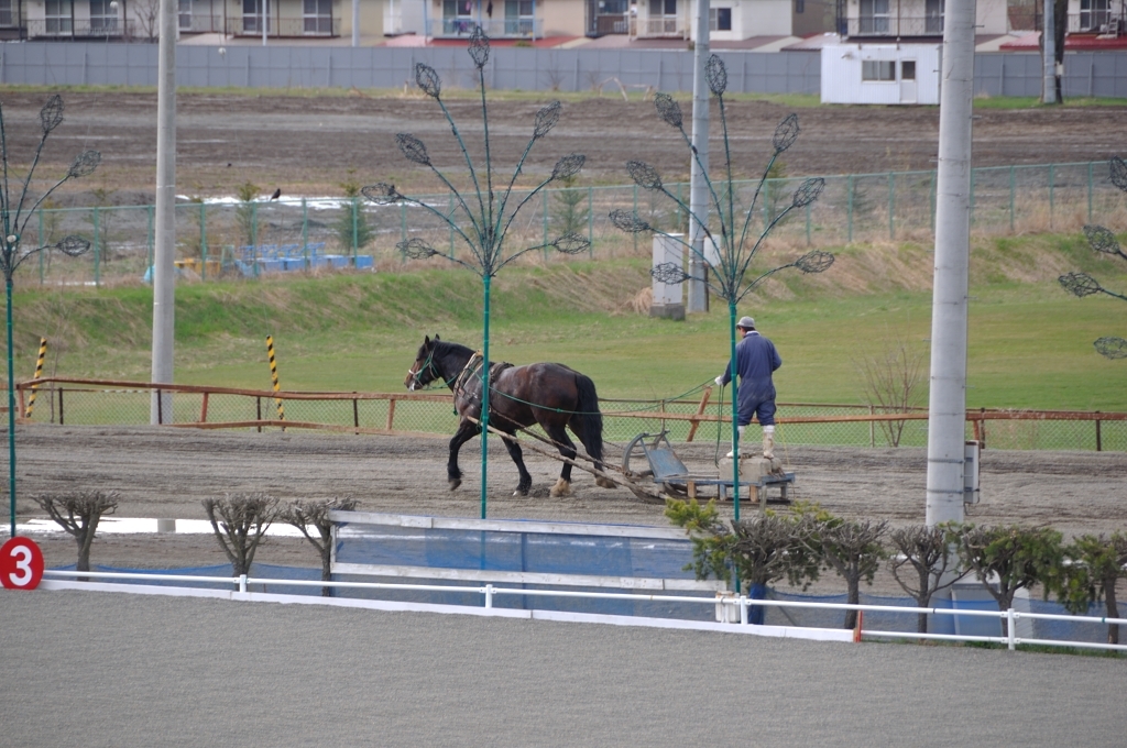 ばんえい競馬